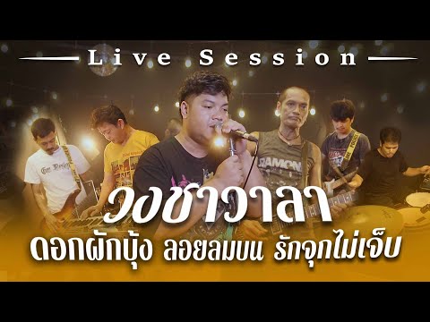 ดอกผักบุ้ง ลอยลมบน รักจุกไม่เจ็บ - วงชาวาลา 【Live Session#3】