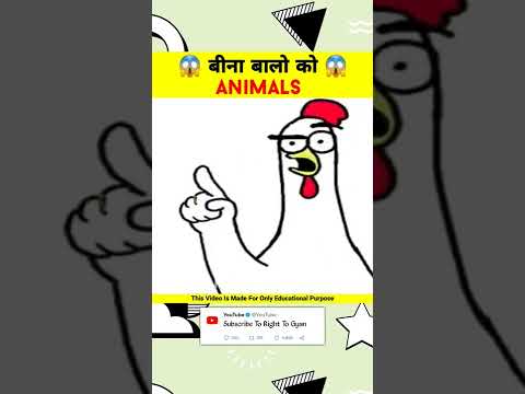 Animals without hair 😱 PT-2 || @MR. INDIAN HACKER @Crazy XYZ || #shorts​ #hindi​ #viral​