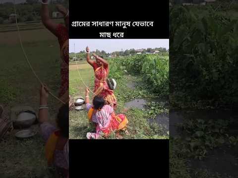 গ্রামের মানুষ মাছ ধরার দৃশ্য আপনাদের কেমন লাগলো 🐟🌿♥️❤️🐟