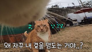 널 포기하는 거, 그거 어떻게 하는건데..