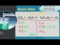 Balancing Photosynthesis Equation Concepts