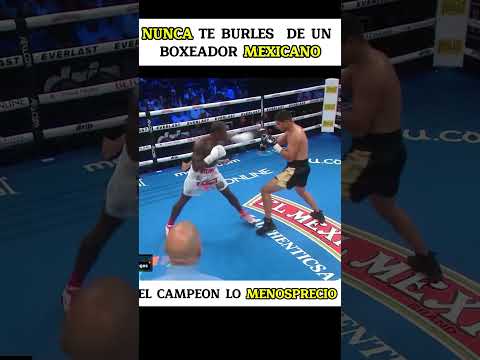 Nunca te burles de un mexicano #boxeo #boxeomexico #mma #boxeomexico #mexicanos #boxeo #ufcmexico
