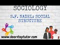 Understanding Social Structures and Functions