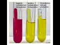 Fermentation Test Concepts
