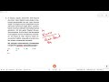 Understanding Content and Form in Writing