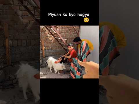 Piyush ko MAJOR chott lagi Chal nahipaaRaha @souravjvlogs#trending