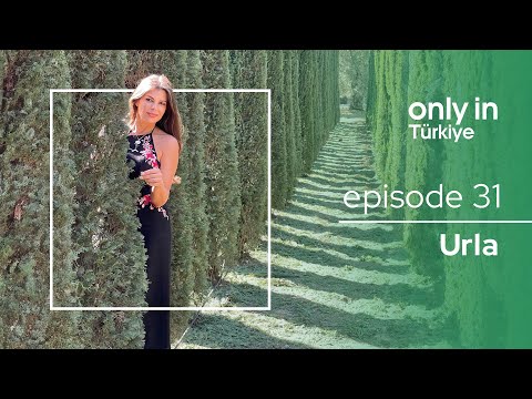 The City of Flavours and History: Urla