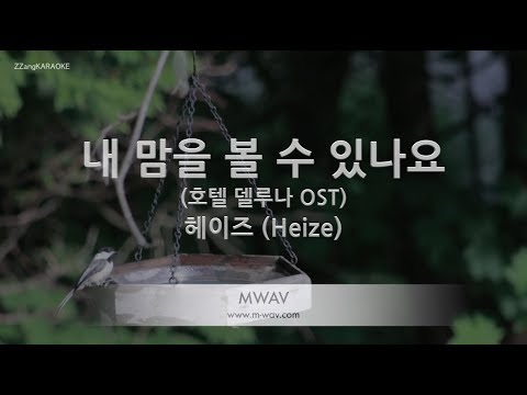 [짱가라오케/노래방] 헤이즈(Heize)-내 맘을 볼 수 있나요 (호텔 델루나 OST) [ZZang KARAOKE]