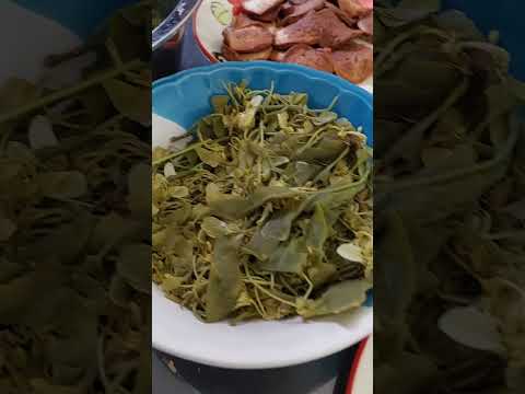 thaifoodผักอีนูนผักสะเดาดินfood ทำกินเอง แม่บ้านในเยอรมัน thaifoodผักอีนูนผักสะเดาดินfood