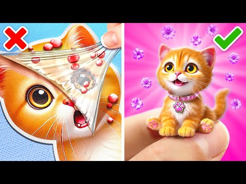 Unique Hacks for Pets Owners 😻🙈 Popular Fidgets for Your Friends!