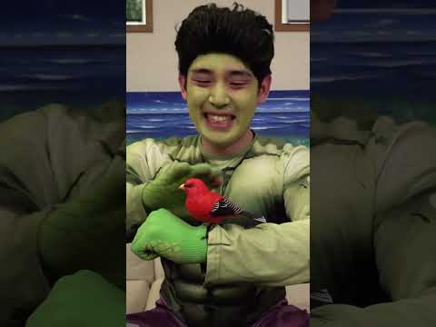 Spider-Man funny video 😂😂😂 Part1080 #funny #tiktok #sigma
