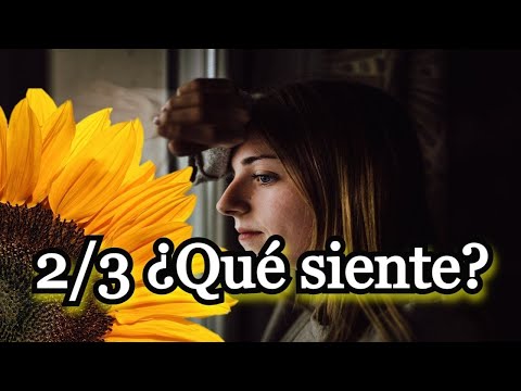 2/3 ❤️‍🩹❤️💔 ¿Qué siente por ti AHORA? 💔❤️❤️‍🩹 LECTURA INTERACTIVA 