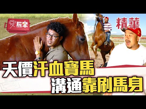 尋找億元天價的汗血寶馬 人馬溝通全靠刷身體【週一愛玩客】自由發揮精華｜20111226