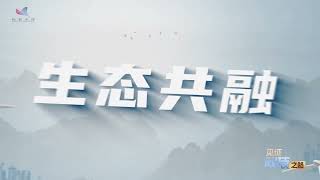 Hydro, wind, and solar power in synergy: Qinghai Warang Pumped Storage Power Station is 'fired up'!