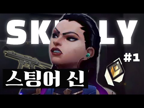 레이나로 "스팅어"를 들고 랭킹 1등을 찍은 스트리머 Skully