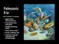 Mass Extinction and Earth's History