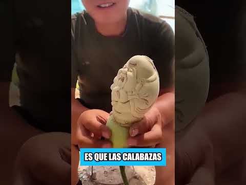 Calabazas Buda El Misterio de la Agricultura Japonesa de Alto Valor