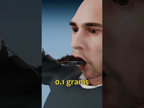 Protein In A Single Ant vs In A Cauldron