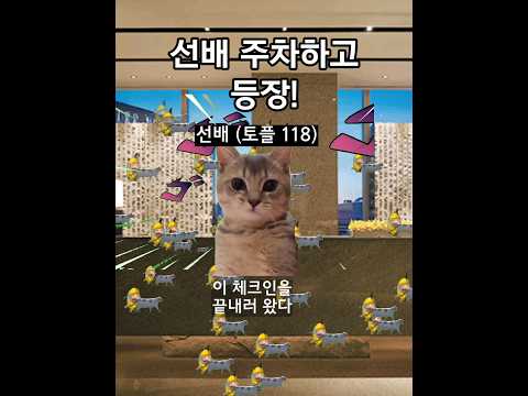대학생 고양이들의 일본 여행 (도쿄 호텔편)