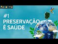 Impactos do Desmatamento e Biodiversidade