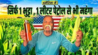 Why Is Sweet Corn More Expensive Than Fuel अमेरिका भुट्टा कितने का मिलता है  @APNAAMERICA ​
