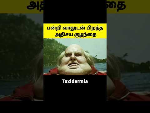 பன்றி வாலுடன் பிறந்த அதிசய குழந்தை #moviesummary #shorts #mrbeast #mrtamilan #fantasy #viralshorts
