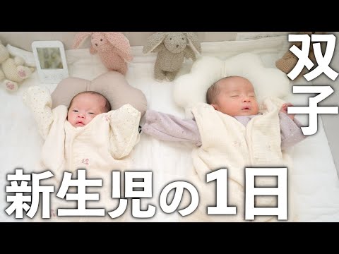 【新生児】ふたごの赤ちゃんの一日