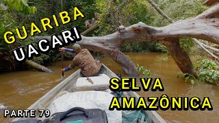 TRÊS DIAS NA FLORESTA AMAZÔNICA - ACAMPAMOS NA SELVA - VÍDEO  79