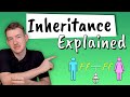 Genetics and Inheritance Concepts