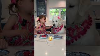 Cookie Challenge with our Daughter and Dog - PART 2!
