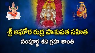 శ్రీ తేజస్వి శర్మ గారి చేతుల మీదుగా శ్రీ అఘోర రుద్ర పాశుపత సహిత సంపూర్ణ శని గ్రహ శాంతి | Sanathanam