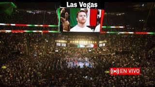 🔴 En Vivo: Canelo vs. Crawford, pelea Canelo Álvarez vs. Terence Crawford en vivo vía Netflix