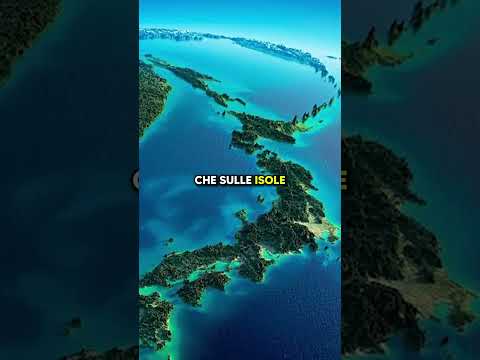 A cosa servono quegli strani berretti da soldato giapponesi?