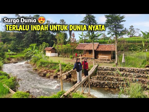 Sangat Langka., Kampung Pinggir Sungai Di Bawah Curug Dekat Hutan. Hanya Ada 1 Rumah Di Tengah Sawah