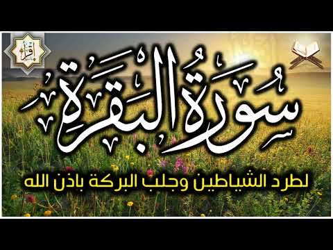 سورة البقرة كاملة لحفظ وتحصين المنزل وجلب البركة تلاوة عذبة للشيخ محمد حسن - Sourah Baqara