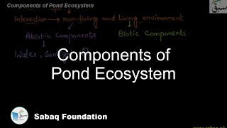 Components of Pond Ecosystem