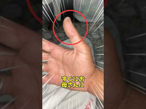 彼は手に切り傷を負って目を覚ました！😨🩸