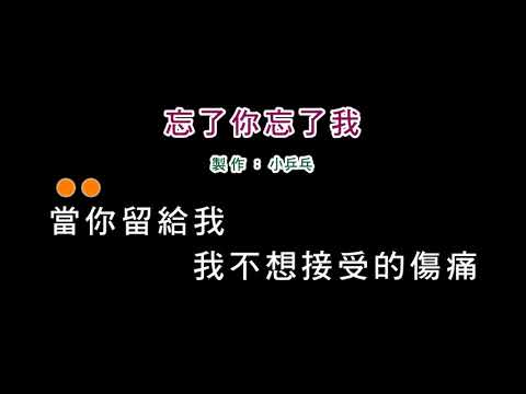 (伴奏版)王傑-忘了你忘了我(DIY卡拉OK字幕)