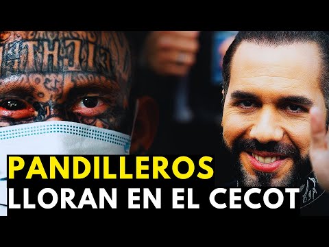 El SALVADOR HOY 5 de Enero 2025, Noticias de El Salvador 5 de Enero 2025, EL SALVADOR