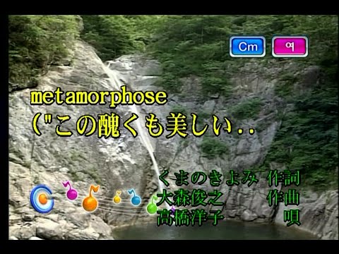 高橋洋子 (타카하시 요코) – metamorphose (KY 42425) 노래방 カラオケ