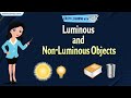 Luminous and Non-Luminous Objects