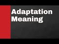 Biological Adaptations and Survival