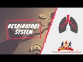 Exploring the Respiratory System in IB SEHS