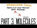 Exploring Molecules and Intermolecular Forces