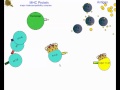 Immune System Memory and Response