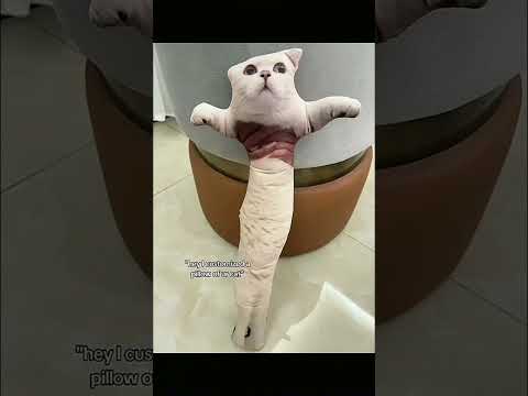 http://uglycat.club/products/uglycat