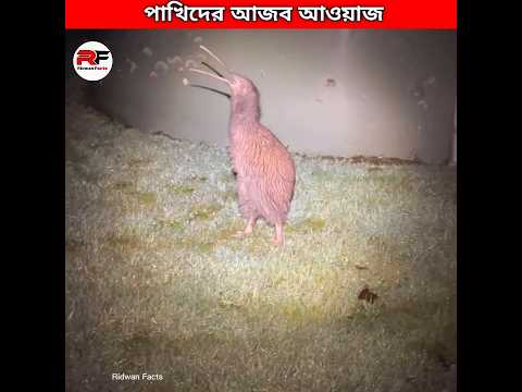 পাখিদের আজব গজব আওয়াজ 🕊️ Weirdest Bird Sounds #shorts