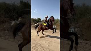 تبارك الله حراره فل🔥😍