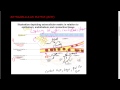 Extracellular Matrix and Collagen Concepts