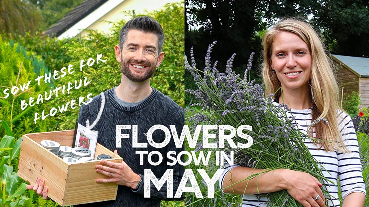 What Flowers to Sow in May with @Lovely Greens | Flowers to Sow in Spring | What to Sow Now!